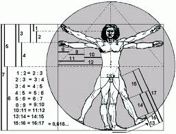 da Vinci - Homem Vitruviano fibonacci