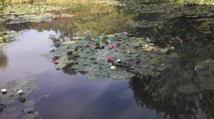 Monet - Giverny lago ninfeias
