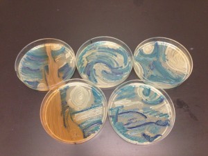 bacterias_VanGogh1