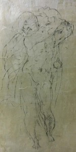 Michelangelo3